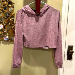 Sparkly Purple Cropped Hoodie